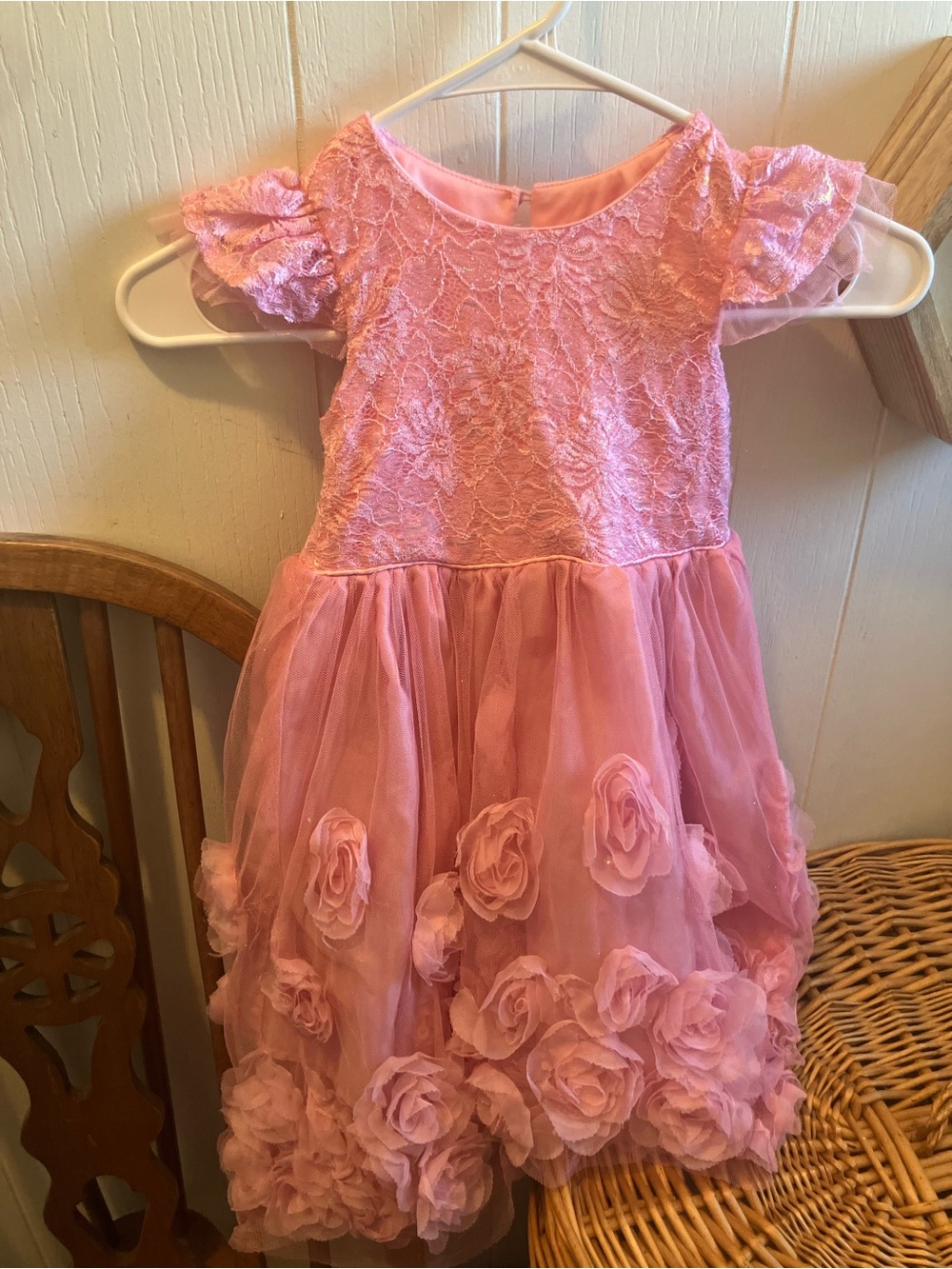 Nanette Kid's Pink Lace & Rose Appliqué Tulle Dress Size 5 EUC